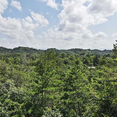 Pet-Friendly Smoky Mountain Retreat With Game Room! เซอเวียร์วีล ภายนอก รูปภาพ